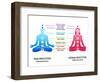 Meditation Position for Man and Woman with Chakras Diagram-sahuad-Framed Art Print