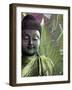 Meditation Vegetation-Fusion Idol Arts-Framed Giclee Print