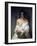 Meditation-Francesco Hayez-Framed Art Print