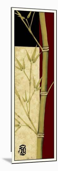 Meditative Bamboo Panel II-Jennifer Goldberger-Mounted Premium Giclee Print
