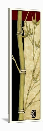 Meditative Bamboo Panel III-Jennifer Goldberger-Stretched Canvas