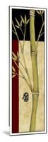 Meditative Bamboo Panel IV-Jennifer Goldberger-Mounted Premium Giclee Print