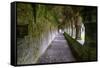 Meditative passageway is part of Moyne Abbey, one of the largest and most intact abbeys in Ireland.-Betty Sederquist-Framed Stretched Canvas