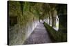 Meditative passageway is part of Moyne Abbey, one of the largest and most intact abbeys in Ireland.-Betty Sederquist-Stretched Canvas