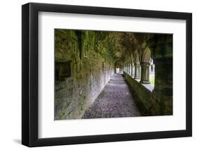 Meditative passageway is part of Moyne Abbey, one of the largest and most intact abbeys in Ireland.-Betty Sederquist-Framed Photographic Print