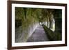 Meditative passageway is part of Moyne Abbey, one of the largest and most intact abbeys in Ireland.-Betty Sederquist-Framed Photographic Print