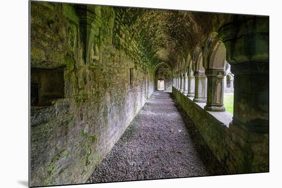 Meditative passageway is part of Moyne Abbey, one of the largest and most intact abbeys in Ireland.-Betty Sederquist-Mounted Photographic Print