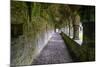 Meditative passageway is part of Moyne Abbey, one of the largest and most intact abbeys in Ireland.-Betty Sederquist-Mounted Photographic Print