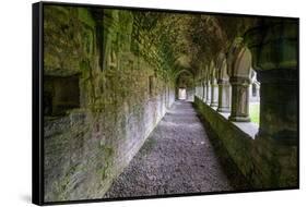 Meditative passageway is part of Moyne Abbey, one of the largest and most intact abbeys in Ireland.-Betty Sederquist-Framed Stretched Canvas