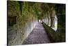 Meditative passageway is part of Moyne Abbey, one of the largest and most intact abbeys in Ireland.-Betty Sederquist-Stretched Canvas