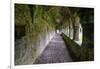 Meditative passageway is part of Moyne Abbey, one of the largest and most intact abbeys in Ireland.-Betty Sederquist-Framed Photographic Print