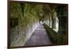 Meditative passageway is part of Moyne Abbey, one of the largest and most intact abbeys in Ireland.-Betty Sederquist-Framed Photographic Print