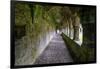 Meditative passageway is part of Moyne Abbey, one of the largest and most intact abbeys in Ireland.-Betty Sederquist-Framed Photographic Print