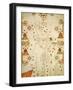 Mediterranean and the Black Sea Map, 1563-Jaume Olives-Framed Giclee Print