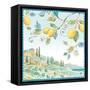 Mediterranean Breeze X-Daphne Brissonnet-Framed Stretched Canvas