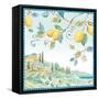 Mediterranean Breeze X-Daphne Brissonnet-Framed Stretched Canvas