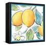 Mediterranean Breeze XV-Daphne Brissonnet-Framed Stretched Canvas