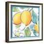 Mediterranean Breeze XV-Daphne Brissonnet-Framed Art Print