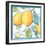 Mediterranean Breeze XV-Daphne Brissonnet-Framed Art Print