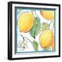 Mediterranean Breeze XVI-Daphne Brissonnet-Framed Art Print