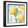 Mediterranean Breeze XVI-Daphne Brissonnet-Framed Art Print