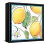 Mediterranean Breeze XVI-Daphne Brissonnet-Framed Stretched Canvas