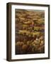 Mediterranean Countryside-Hulsey-Framed Art Print