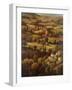 Mediterranean Countryside-Hulsey-Framed Art Print