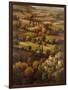 Mediterranean Countryside-Hulsey-Framed Art Print