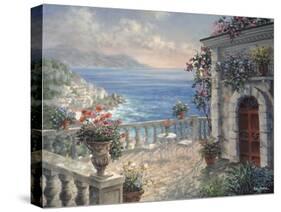 Mediterranean Elegance-Nicky Boehme-Stretched Canvas