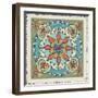 Mediterranean Flair IX-Daphne Brissonnet-Framed Art Print