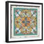 Mediterranean Flair VII-Daphne Brissonnet-Framed Art Print