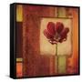 Mediterranean Floral I-Kimberly Poloson-Framed Stretched Canvas