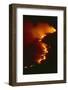 Mediterranean Forest Fire at Night, Spain-Jose B. Ruiz-Framed Photographic Print