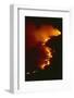 Mediterranean Forest Fire at Night, Spain-Jose B. Ruiz-Framed Photographic Print