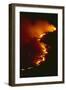 Mediterranean Forest Fire at Night, Spain-Jose B. Ruiz-Framed Photographic Print