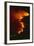 Mediterranean Forest Fire at Night, Spain-Jose B. Ruiz-Framed Photographic Print