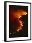 Mediterranean Forest Fire at Night, Spain-Jose B. Ruiz-Framed Photographic Print