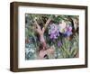 Mediterranean Garden with Irises, 2019 (Acrylic)-Ann Oram-Framed Giclee Print