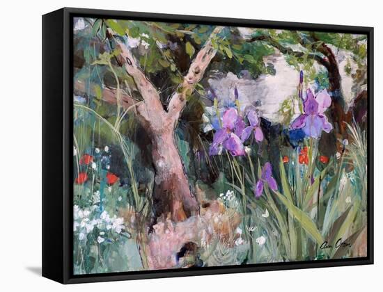 Mediterranean Garden with Irises, 2019 (Acrylic)-Ann Oram-Framed Stretched Canvas