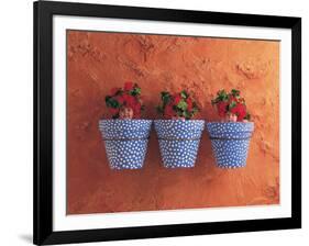 Mediterranean Pots-Anne Geddes-Framed Art Print