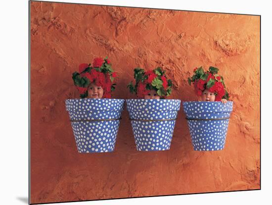 Mediterranean Pots-Anne Geddes-Mounted Art Print