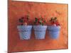 Mediterranean Pots-Anne Geddes-Mounted Art Print