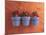 Mediterranean Pots-Anne Geddes-Mounted Art Print