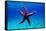 Mediterranean Rock Seastar - Coscinasterias Tenuispina-vojce-Framed Stretched Canvas