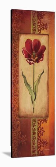 Mediterranean Tulip I-Kimberly Poloson-Stretched Canvas
