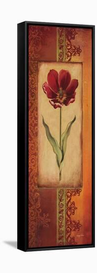 Mediterranean Tulip I-Kimberly Poloson-Framed Stretched Canvas