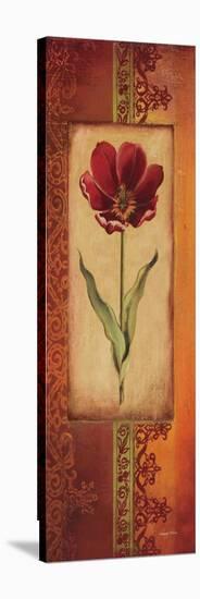 Mediterranean Tulip I-Kimberly Poloson-Stretched Canvas