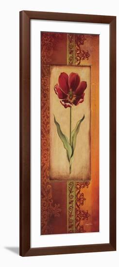 Mediterranean Tulip I-Kimberly Poloson-Framed Art Print