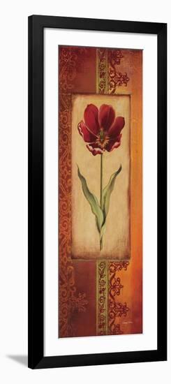 Mediterranean Tulip I-Kimberly Poloson-Framed Art Print
